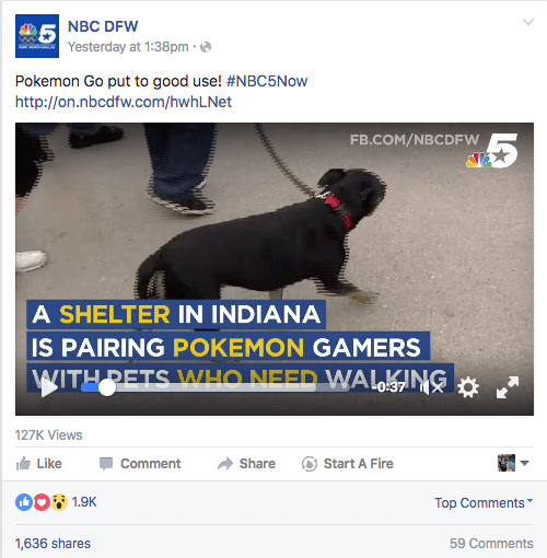 pokemon go muncie animal shelter