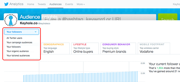 twitter ad audience insights