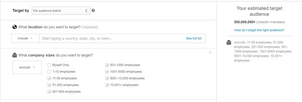 linkedin audience with large companies excluded