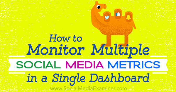 social media metric dashboard tools and set up