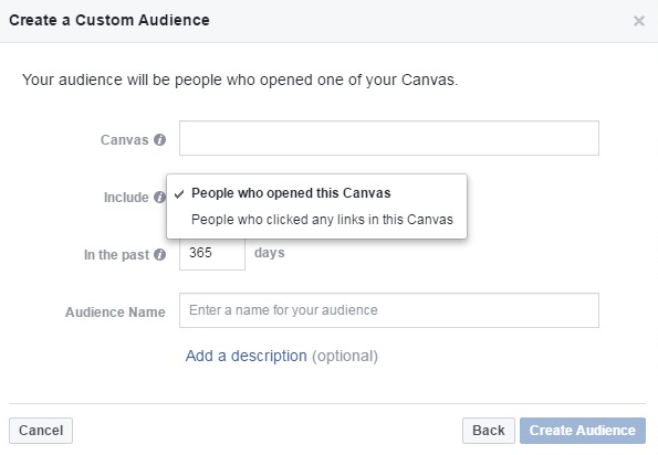 custom audience from canvas opens