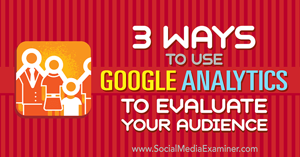 use google analytics to examine social media audience