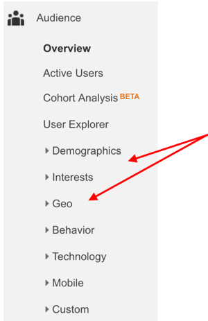 google analytics audience section