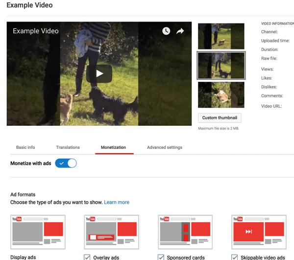 adjust individual video monetization options