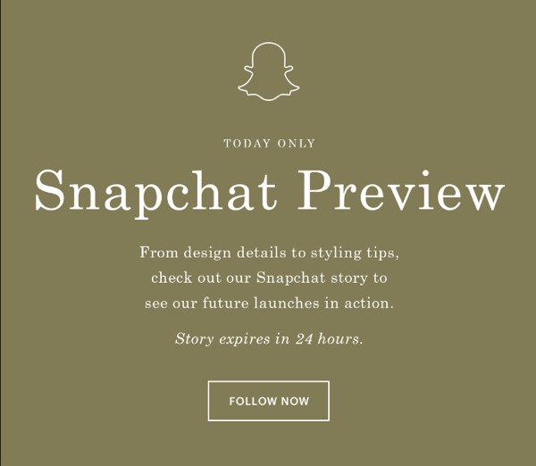 everlane email about snapchat story