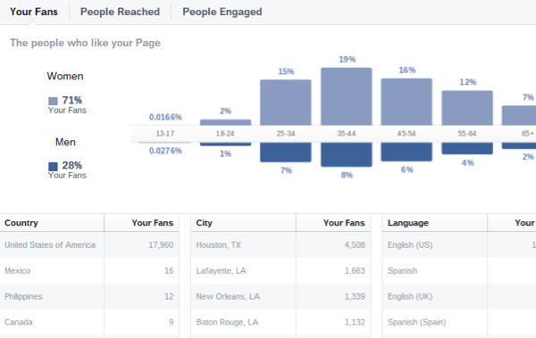 facebook insights audience demographics