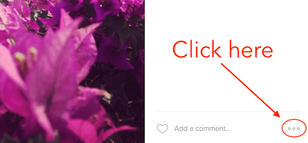Click the three dots on your Instagram post to see the embed code.