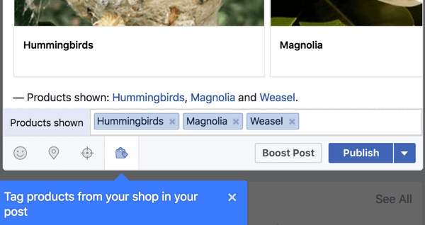 Include product links from your Facebook shop.