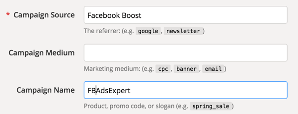 Identify the source of your traffic and give your campaign a unique name.