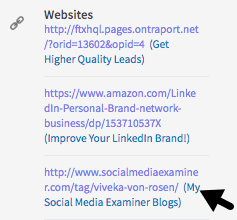 Sie können Ihre LinkedIn-Profillinks zwar nicht mehr anpassen, aber Sie können Beschreibungen daneben einfügen.