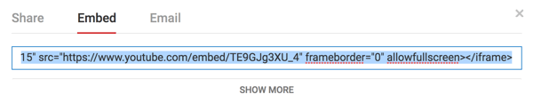 Copy the embed code and paste it in the exact spot in a blog post where you want the video to appear. When you preview or view the post in its published form, the video will be there.