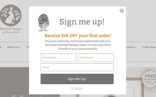 An ecommerce discount code lead magnet.