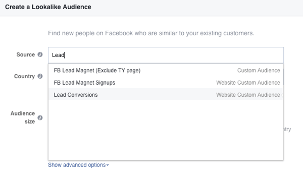 In the Source field, select your website custom audience on Facebook.