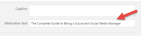 Here's how you add image alternative text to your image on WordPress.