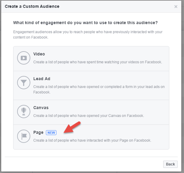 Create a custom audience of people who have engaged with you page on Facebook.