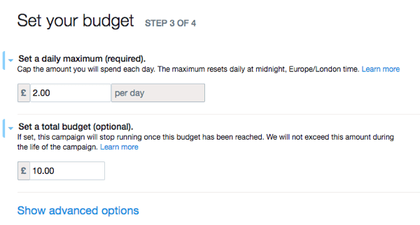 Set up your Twitter ad's budget.