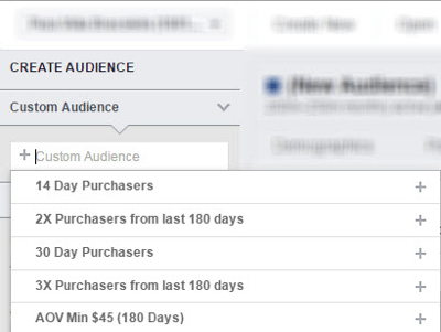 Analyze your chosen custom audience in Facebook Audience Insights.