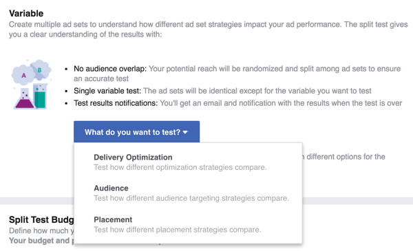 Select the variable you want to test with your Facebook ad.