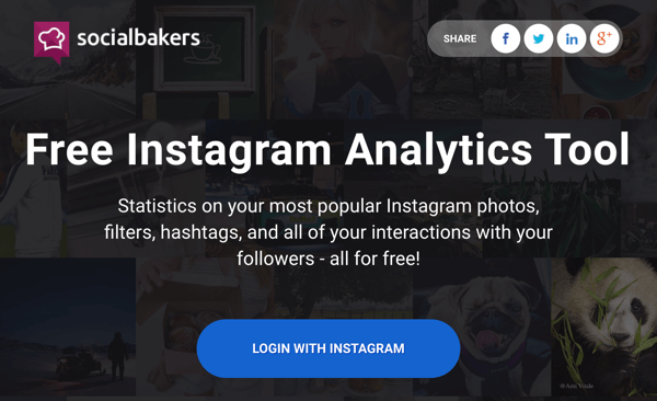 Log in with Instagram to get access to Socialbakers' free report.