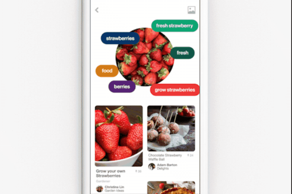 Pinterest rolled out the ability to use the Lens Camera to take a photo of an entire dish and get recipes to recreate the meal.