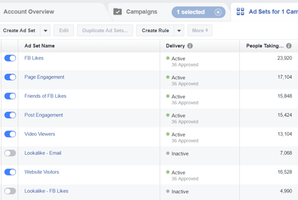 Set up multiple narrowly segmented custom audiences to target.