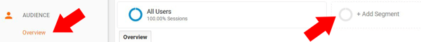 In Google Analytics, select Audience > Overview and click Add Segment.