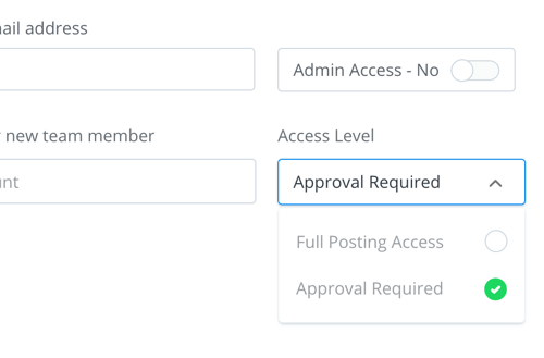 Choose an access level for the person you're adding to your team.