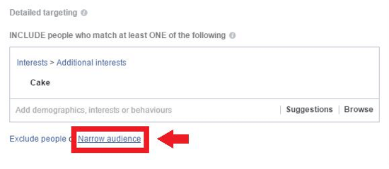 Click the Narrow Audience link under Detailed Targeting.
