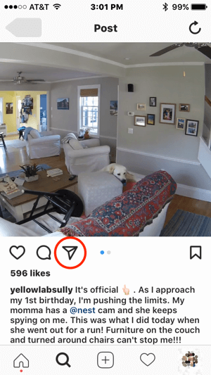 If Nest wanted to contact this Instagram user for permission to use their content, they could initiate communication by tapping the direct message icon.