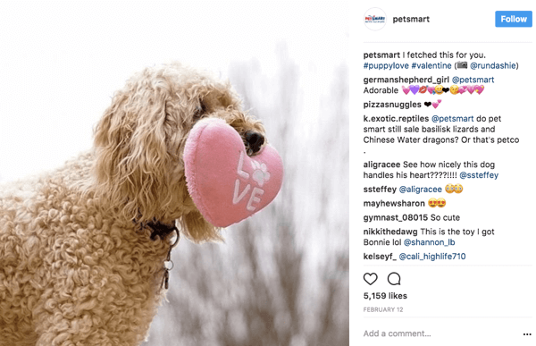 Wenn PetSmart Benutzerfotos auf Instagram erneut teilt, wird das Originalposter in der Bildunterschrift mit einem Bildnachweis versehen.