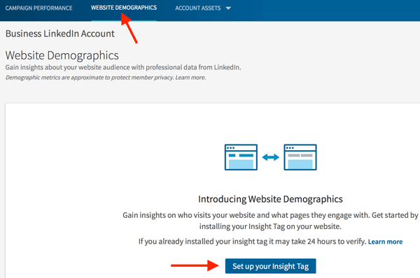 Go to the Website Demographics tab to set up your insight tag.