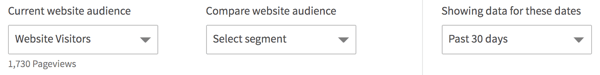 Choose the website audience you want to view in your LinkedIn Website Demographics.