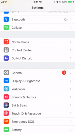 Fügen Sie die Bildschirmaufzeichnungsfunktion zum Control Center Ihres iOS-Geräts hinzu.