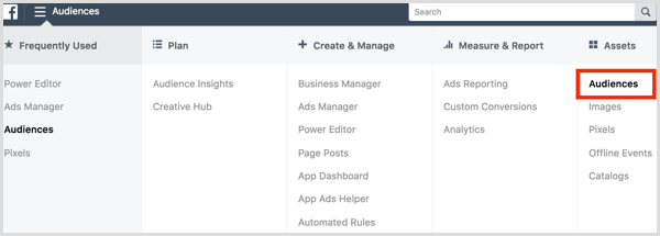 Facebook ads manager audiences