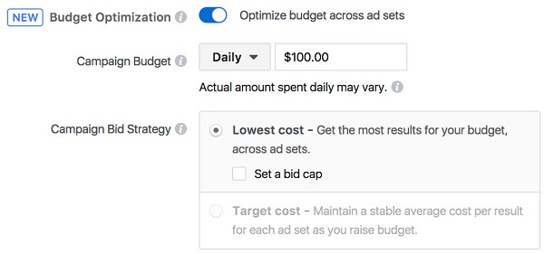 Facebook gives businesses an easier way to manage their ad budgets and ensure optimal results with the new campaign budget optimization tool.