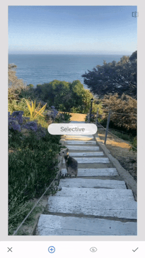 snapseed edit with selective tool