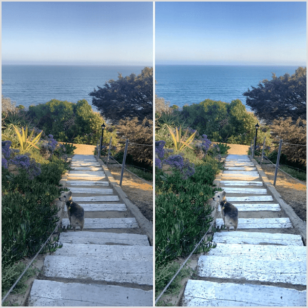 snapseed selective tool before and after