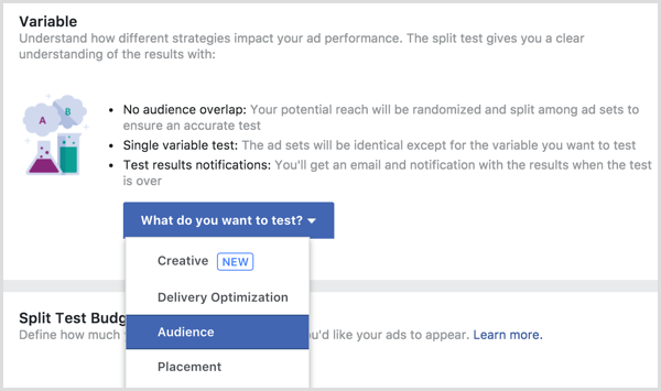 Biến thử nghiệm tách quảng cáo Facebook