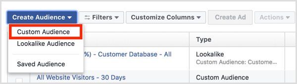 Facebook Ads Manager Audiences dashboard create custom audience