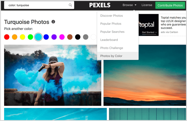 Pexels sort Photos by Color