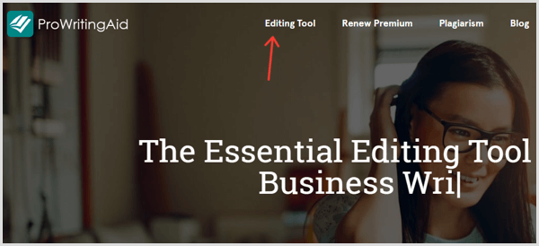 ProWritingAid Editing Tool