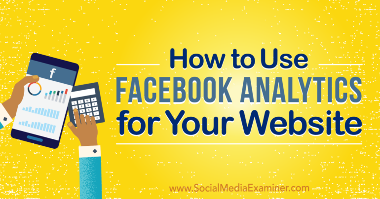 How to Use Facebook Analytics for Your Website - Ask the Egghead, Inc.