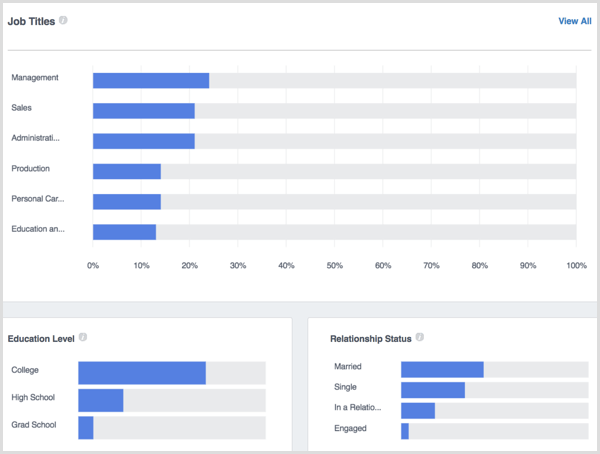 Facebook Analytics People Demographics