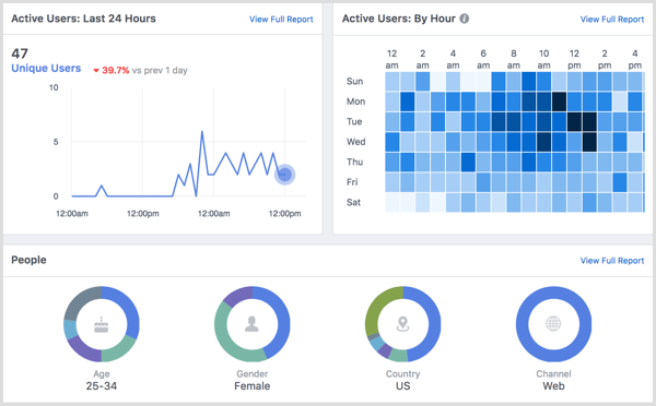 Facebook Analytics website