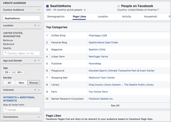 Facebook audience insights