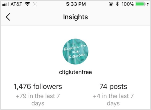 Instagram Insights overview