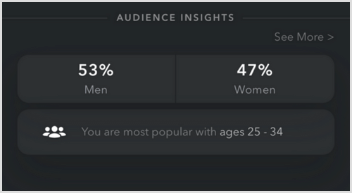 Snapchat Audience Insights