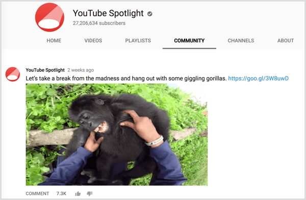 YouTube channel Community tab post