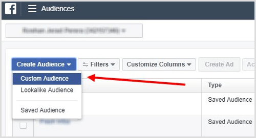 Select Custom Audience from the Create Audience drop-down menu.