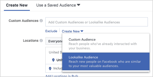 Facebook lookalike audience creation.